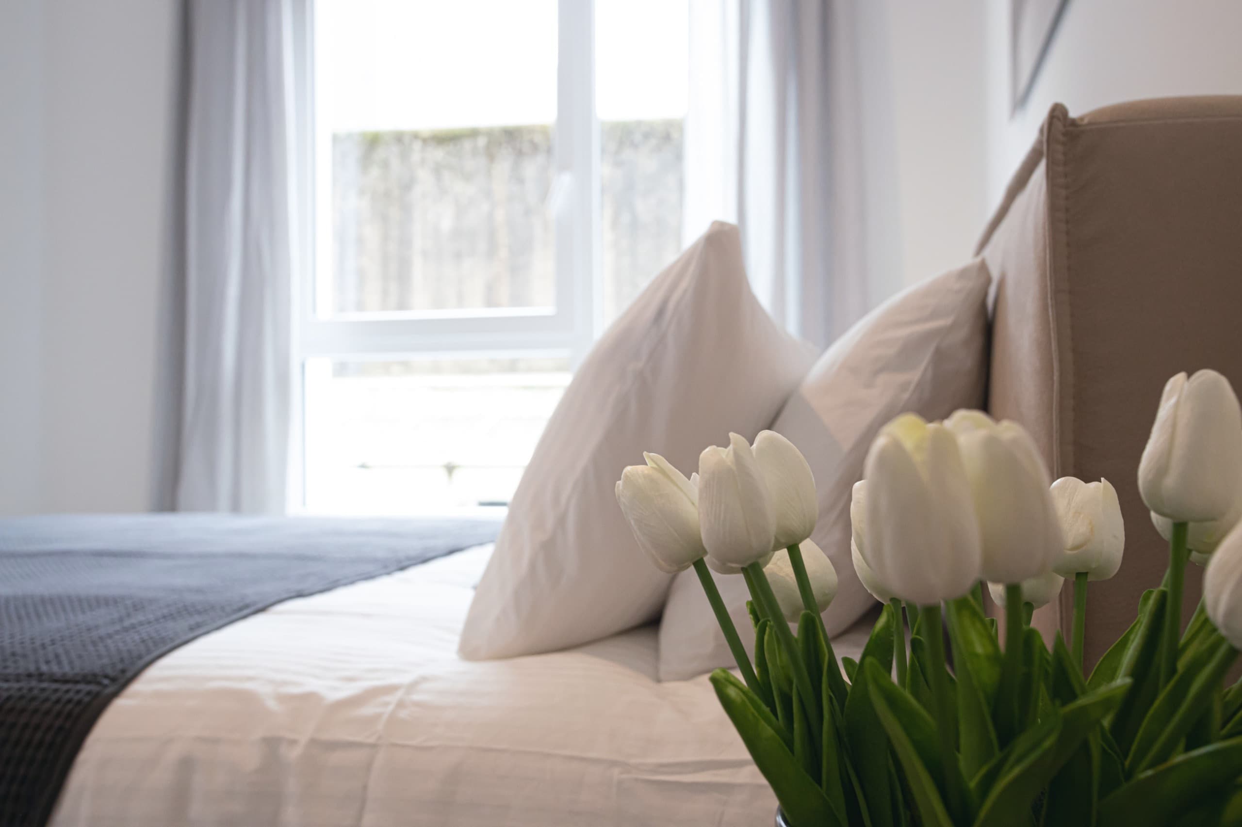 Close-up image with the bed, fluffy white pillows, and white tulips in a vase on a nightstand. Light comes through the big window.