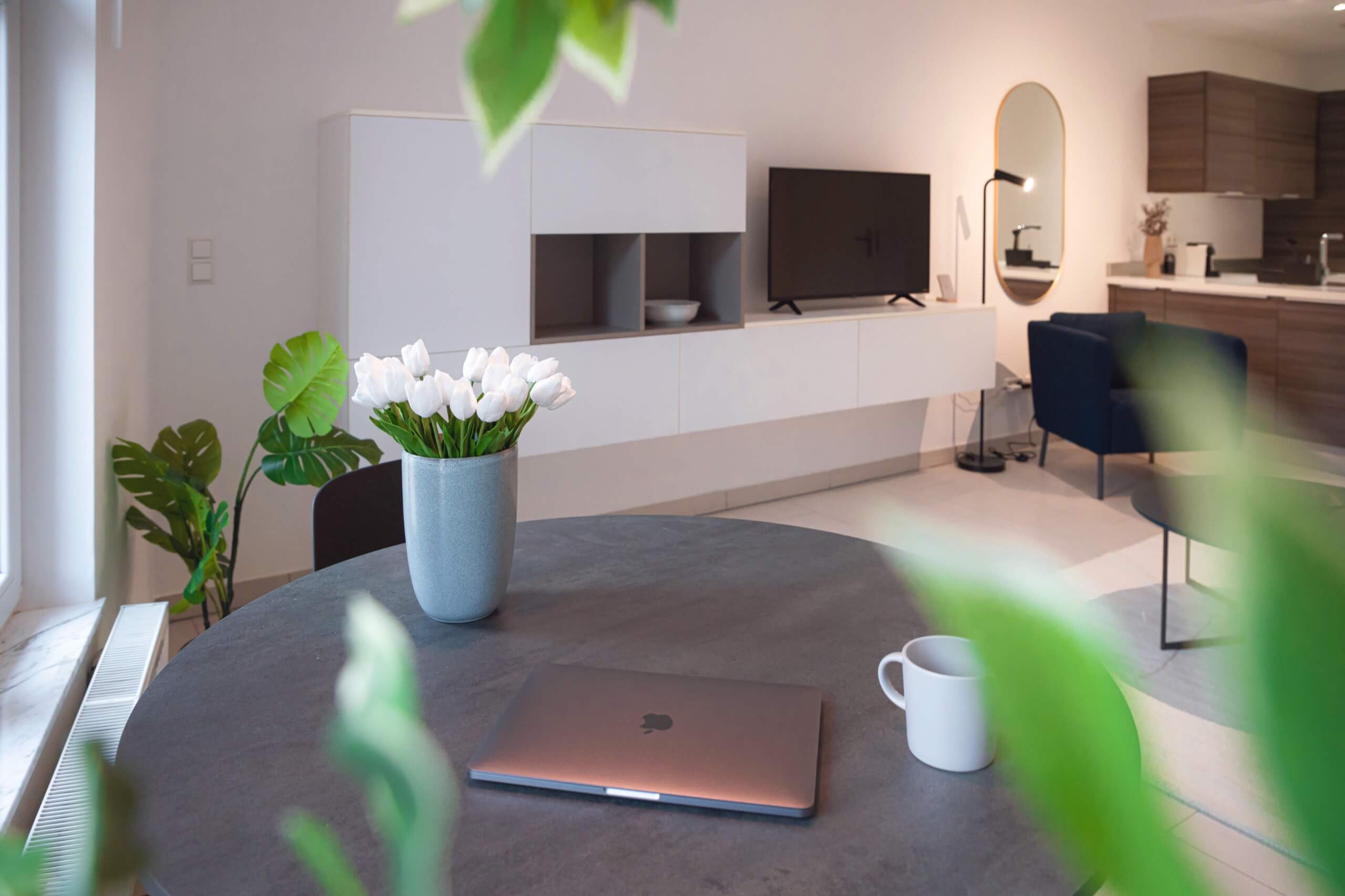 The inside of an apartment looking towards the 2 windows. In front there is a table with 2 chairs. Sitting on top of the table is a macbook pro, a vase with white tulips and a coffee cup. Next to the window is a large green plant. In the background there is a chair and the kitchen.