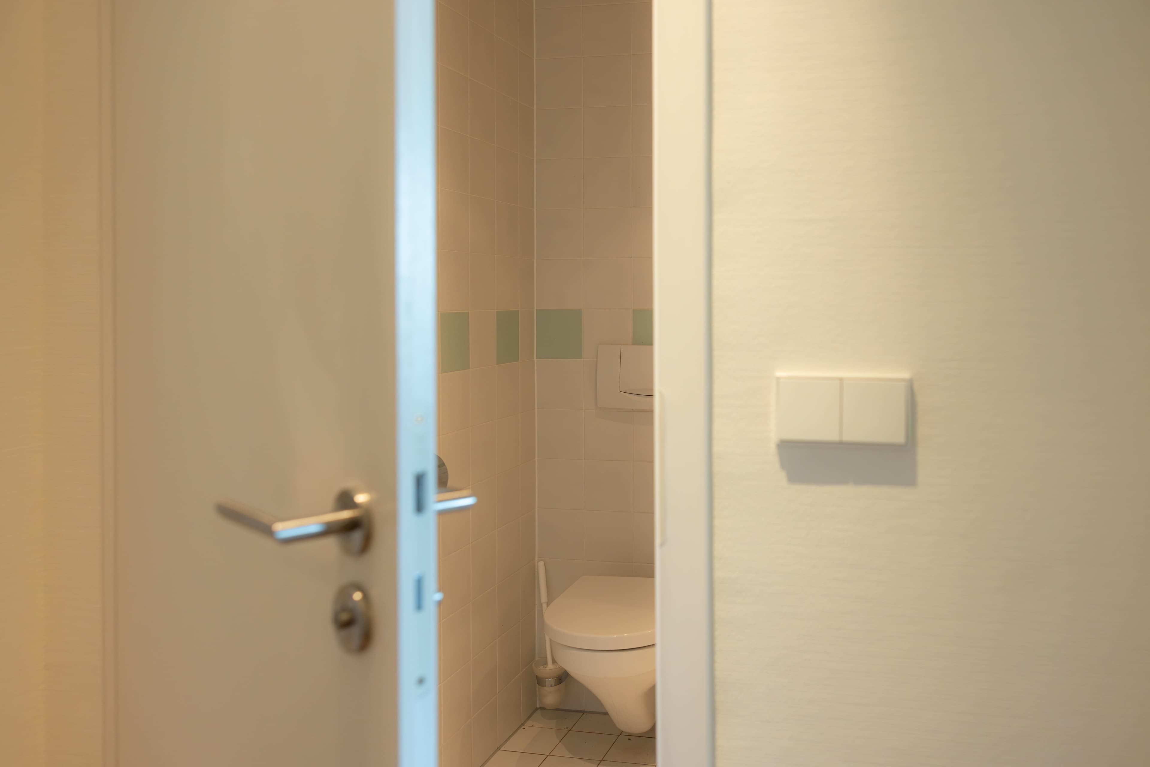 The picture depicts a toilet that can be seen through an open white door