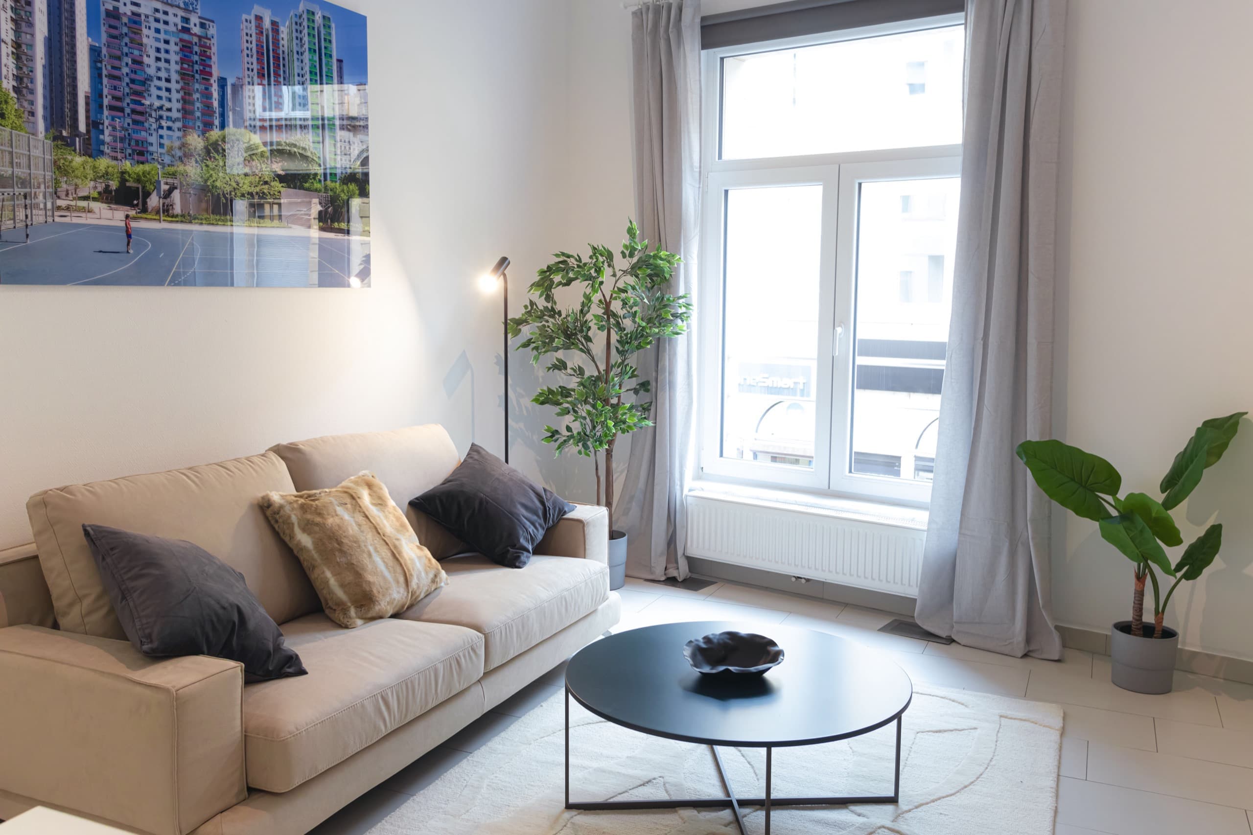 Sofa with cushions on it. Standing lamp, tall potted flower, floor-to-ceiling windows on its left.
