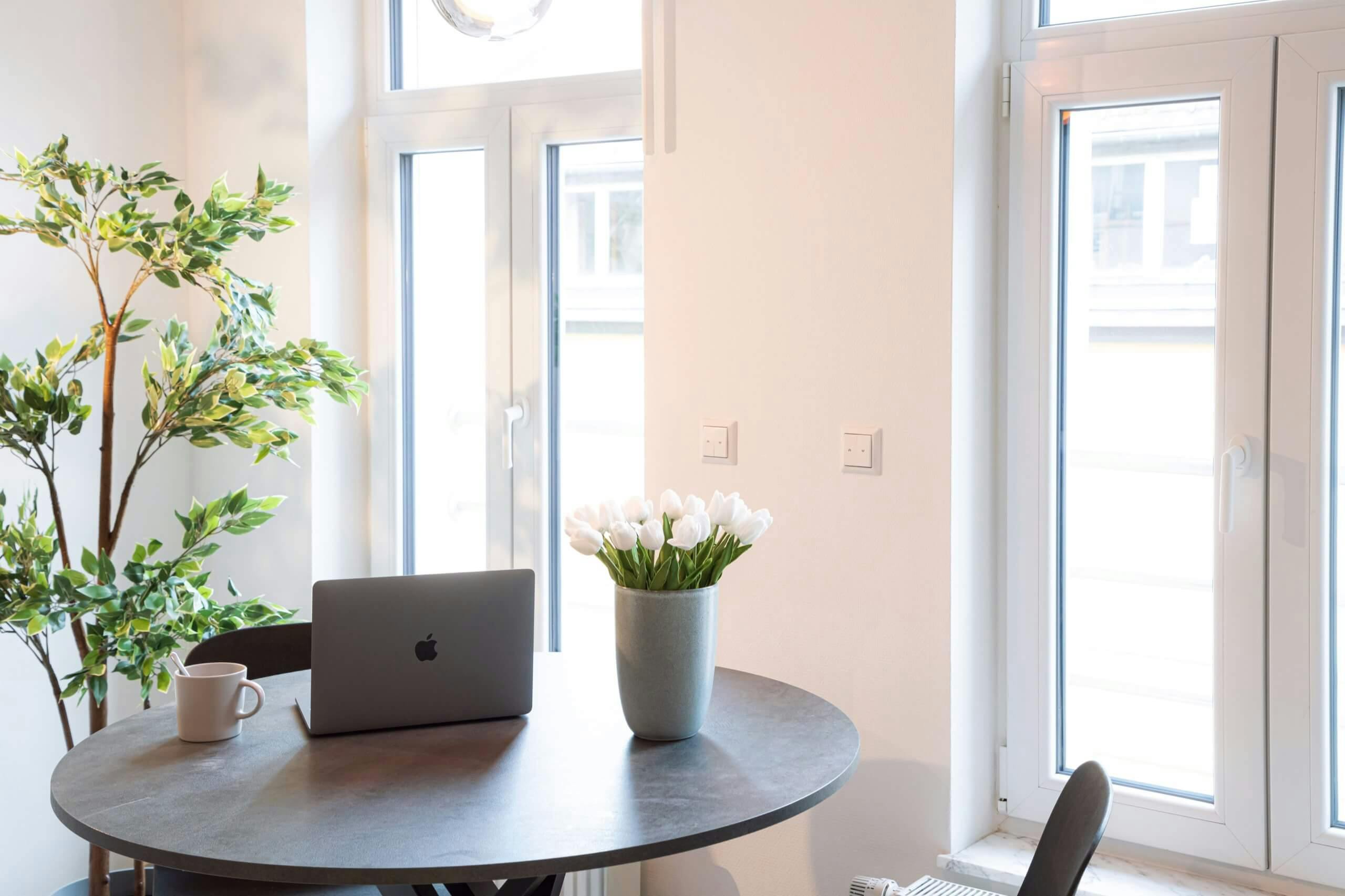The inside of an apartment looking towards the 2 windows.  In front there is a table with 2 chairs. Sitting on top of the table is a macbook pro, a vase with white tulips and a coffee cup.  Next to the window is a large green plant.
