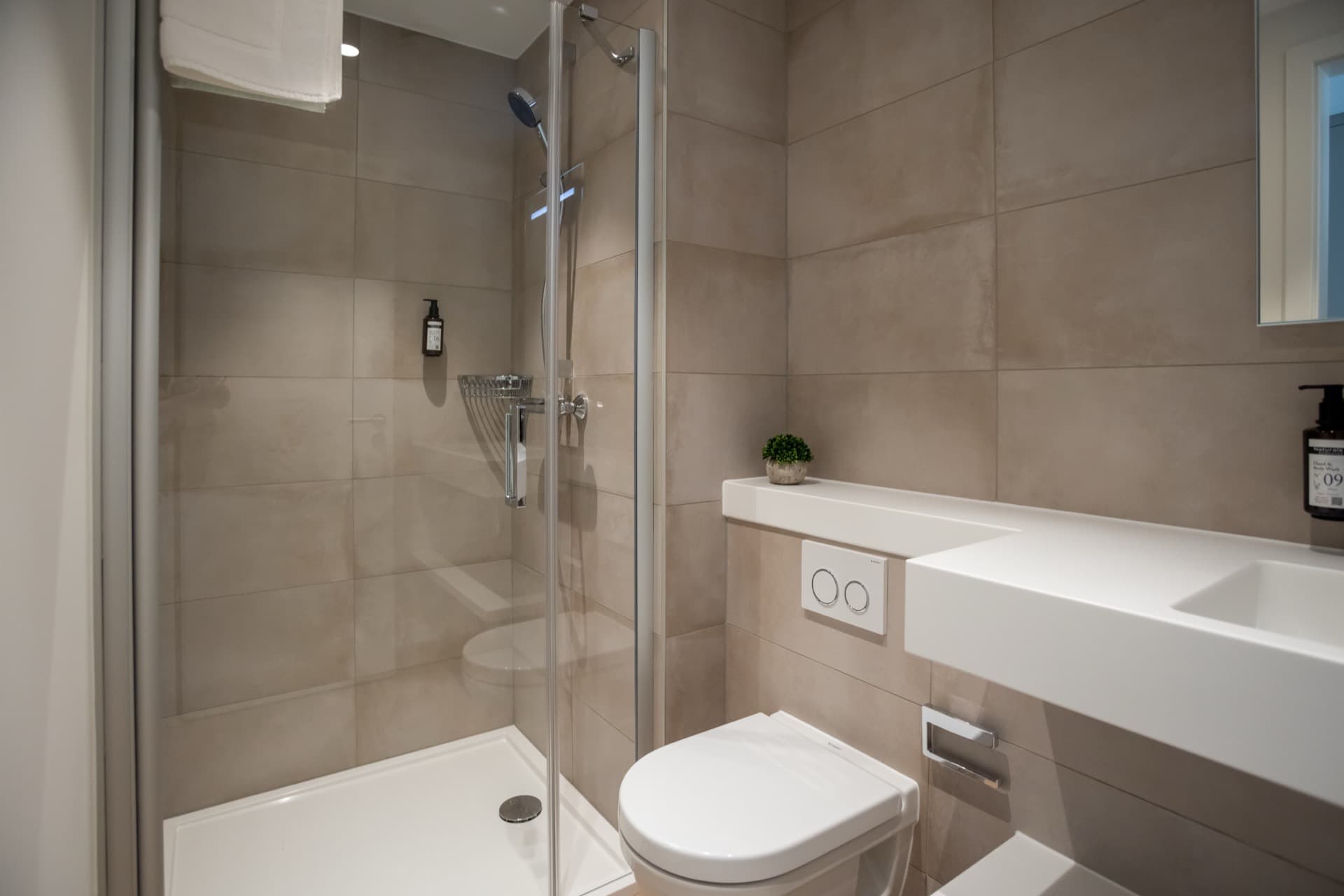 Bathroom area with a walk-in shower, toilet, sink, and toiletries.